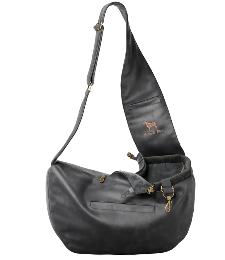 pet bag